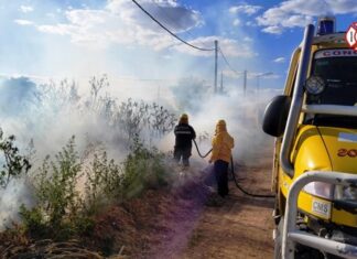 Varias salidas para apagar incendios de pastizales
