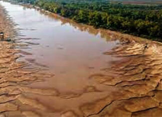 El río Paraná dejó de repuntar su crecimiento