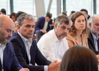 Se reunió el Consejo Federal de la Energía