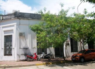 Dibujo, pintura y literatura. Destacan la participación de alumnos uruguayenses