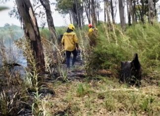 Un incendio de pastizales afectó áreas del barrio Uocra