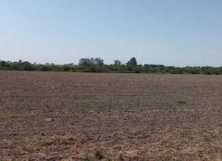 FAA Entre Ríos alertó: “La sequía no da tregua y la producción vive una situación límite”