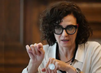 Cecilia Todesca defendió la moneda común con Brasil