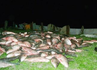 Incrementan los controles contra la pesca ilegal