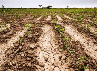 Afirman que la sequía es similar a la sufrida en 2008/09