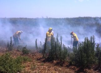 Entre Ríos prorrogó la emergencia ambiental