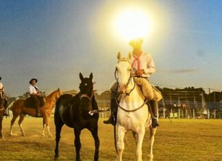 Diamante. La Provincia acompaña al Festival Nacional de Jineteada y Folclore