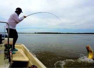 Estudio informa que Entre Ríos es el segundo destino elegido para ir a pescar en el país