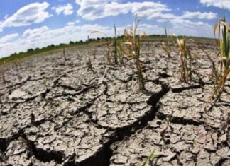 Habilitan los trámites por la emergencia agropecuaria