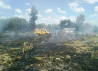 Numerosas intervenciones por fuego en pastizales