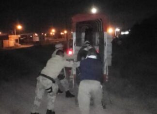 Ya son 150 los caballos sueltos salvados de la calle