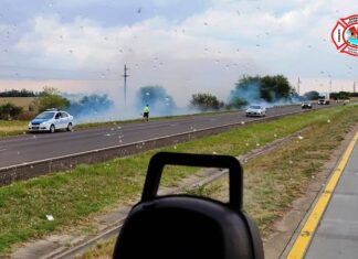 Bomberos. Sofocaron un incendio de pastizales en la Autovía