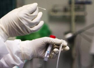 Reportaron un descenso de los casos de covid-19