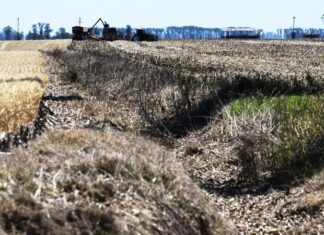 Más del 50% del país es afectado por la sequía