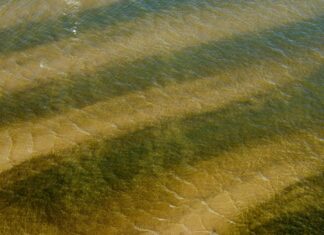 Ola de calor: para cuándo se pronostica un alivio