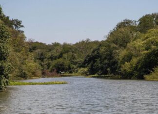 Buscan proteger la zona de islas con un nuevo parque provincial