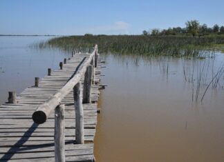 Día Mundial de los Humedales: Revitalizar y restaurar los humedales degradados