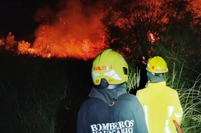 p1 bomberos - incendio en colonia elía1