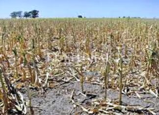 Vence el plazo para que los productores accedan al beneficio de la emergencia