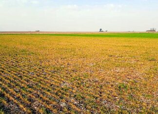 Presentarán un proyecto de ley en beneficio de los productores