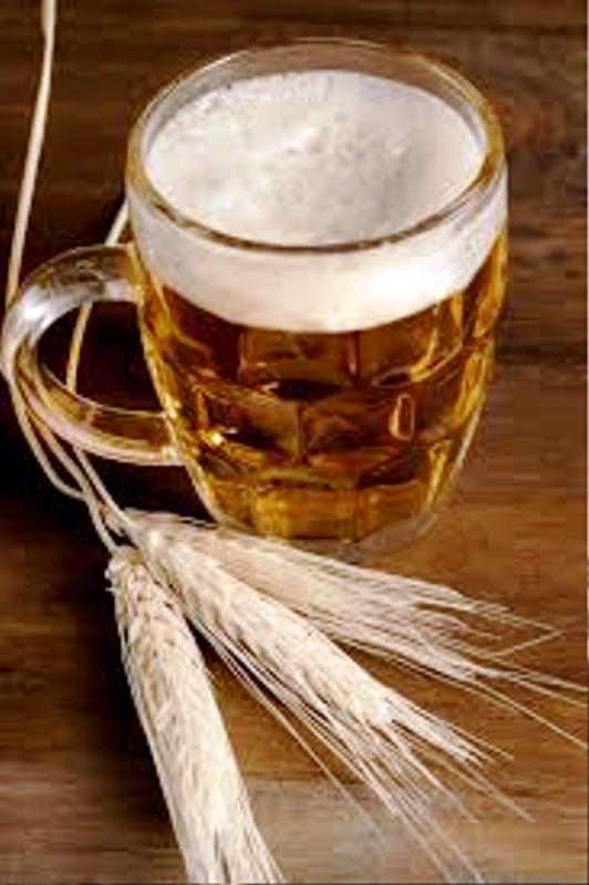 p4 concepción beer1