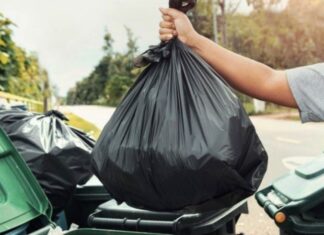 Feriados nacionales. Habrá algunos cambios en el  funcionamiento de los servicios