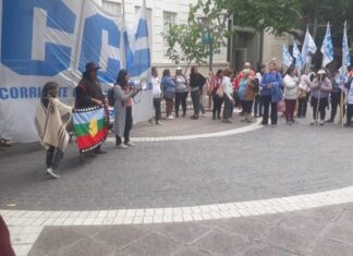 La Cámara de Diputados de Mendoza declaró a los mapuches como «pueblo originario no argentino»