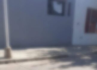 Repudio: Chocaron un perro en Concepción y los automovilistas continuaron pasándolo por encima