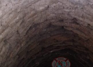 Rescataron a un perro que estaba atrapado en un pozo ciego