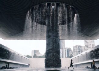 La foto del día