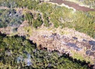 Bomberos y Prefectura combatieron un incendio