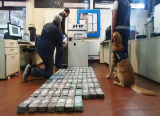 La Aduana refuerza los controles en la hidrovía