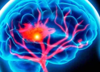 NEUROBIOLOGÍA. Cómo afecta al cerebro no dormir lo suficiente