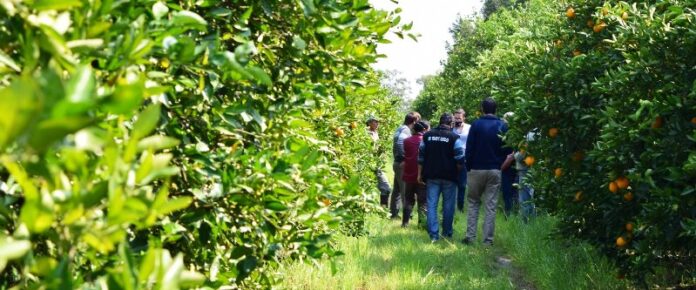 p2 - Apoyo del sector