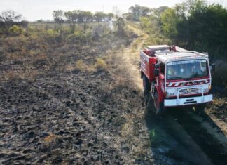 Bomberos salió dos veces por desmonte en un campo