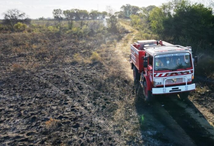 p3 bomberos - incendio de campo2