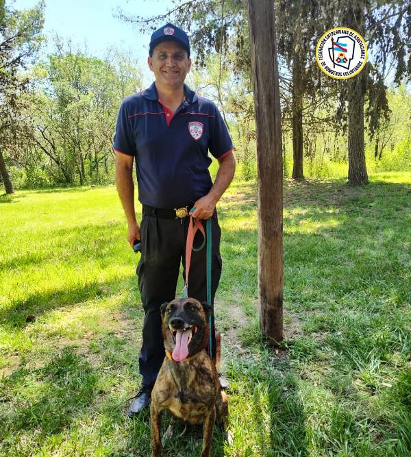 p4 bomberos - brigadas caninas1