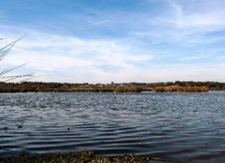 En defensa de la biodiversidad. Evocaron el Día de los Ríos Libres