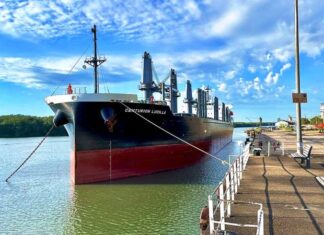 El noveno buque del año amarró en el Puerto local