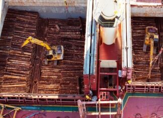 Con un embarque récord sigue la actividad portuaria