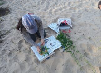 Inició el relevamiento de aves y flora en la Reserva Isla del Puerto