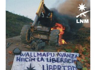 Grupo mapuche detrás de incendios en Chile propone luchar contra el Estado argentino