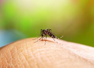 Se duplicaron los casos de dengue en Paraná en una semana
