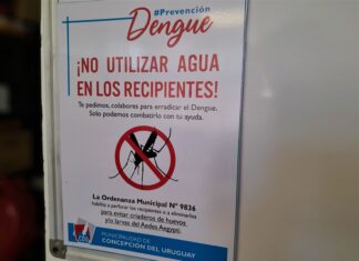 Solicitan colaborar con la campaña contra el Dengue en el cementerio