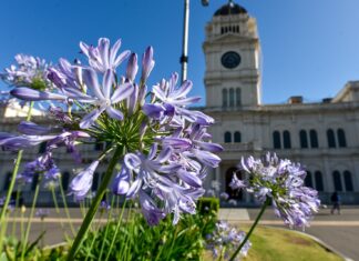 El sábado comenzará el pago de haberes a estatales