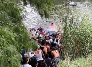 La foto del día