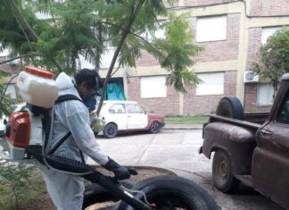 Fumigan para prevenir el Dengue