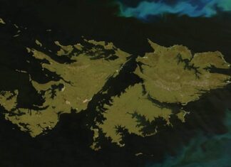 Invitan a inscribirse para ser guía voluntario de la muestra «Malvinas 40 años»