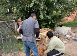 Llevaron a cabo un operativo sanitario en La Quilmes