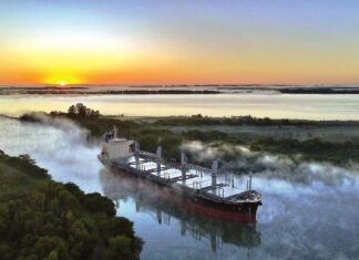 Un buque carga 18.000tn de troncos en el Puerto